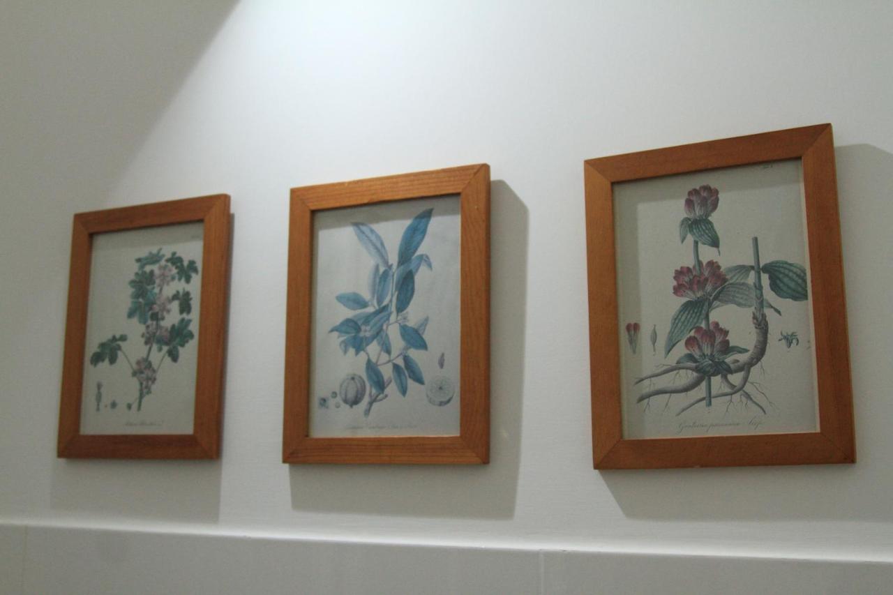 Cilento Suite - Scaloni Agropoli Extérieur photo